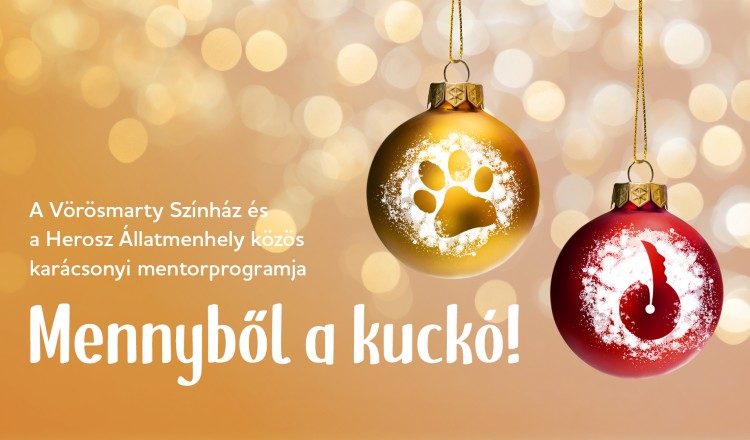 Mennyből a kuckó - A HEROSZ Állatotthon és a Vörösmarty Színház közös kampánya - GALÉRIA