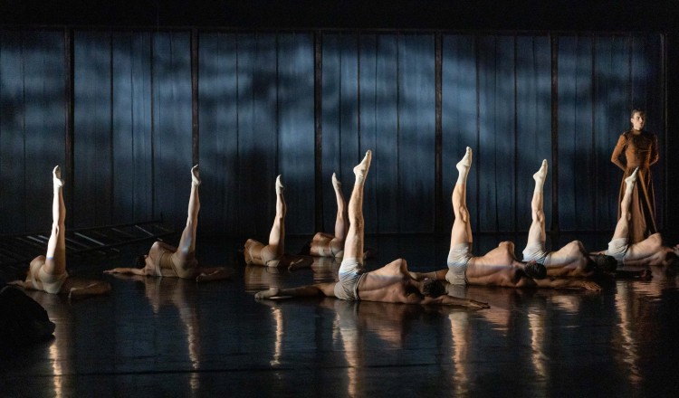 Kövek - Székesfehérvári Balett Színház