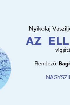 Az ellenőr
