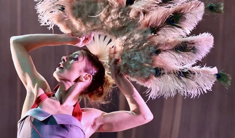 DON QUIJOTE - (Székesfehérvári Balett Színház)