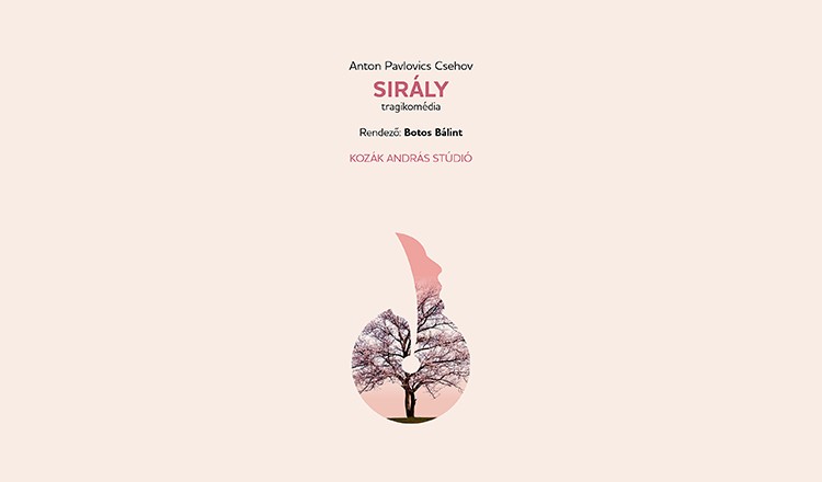 Sirály