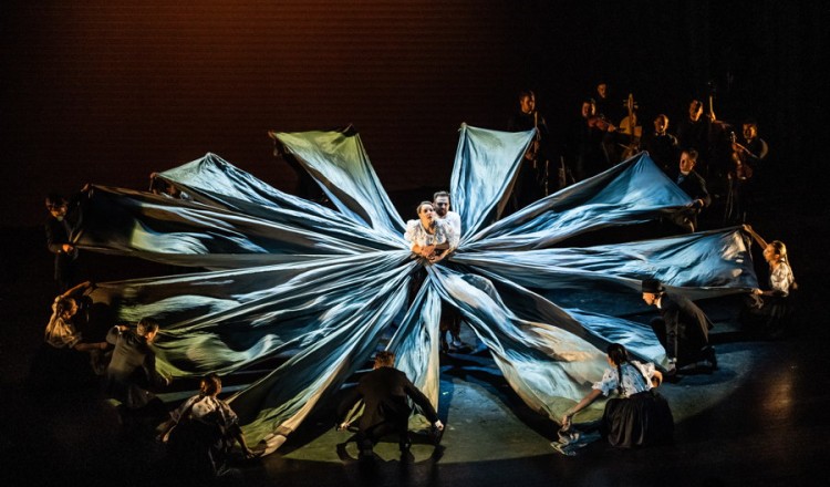 Halálra táncoltatott lány