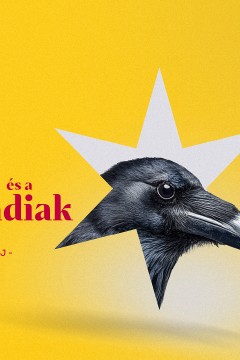 Czillei és a Hunyadiak